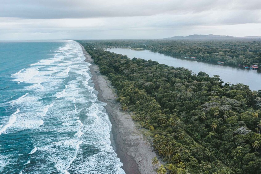 Picture 2 for Activity From San Jose: 3-Day Tortuguero National Park Excursion