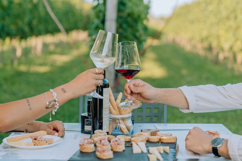 Picture 1 for Activity Lake Garda: Wine and Food Tastings in the Vineyards