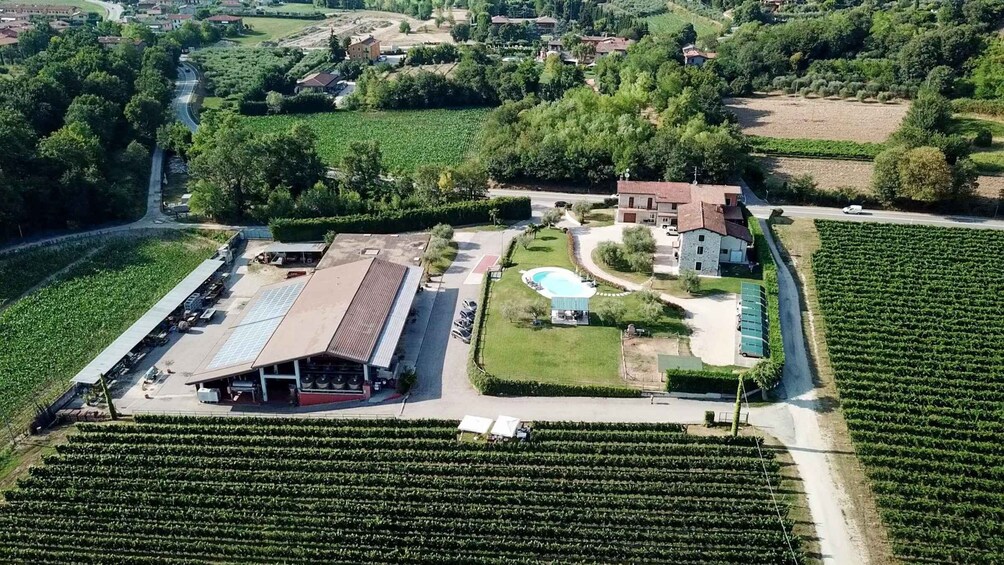 Picture 5 for Activity Lake Garda: Wine and Food Tastings in the Vineyards