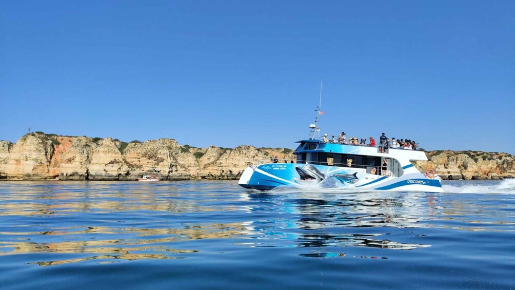 Picture 8 for Activity Lagos: Dolphin Watching Half-Day Cruise & Water Activities