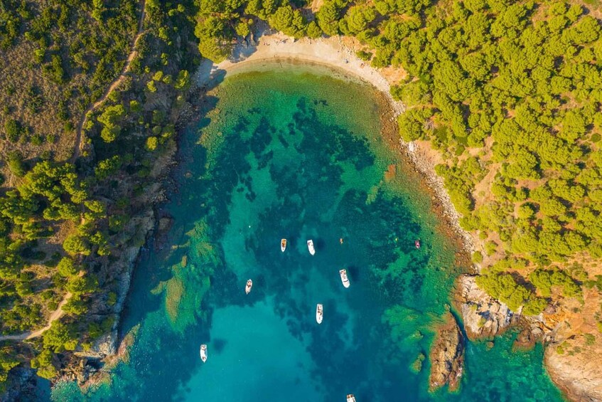 Picture 14 for Activity Roses: Costa Brava Catamaran Trip with Underwater Views