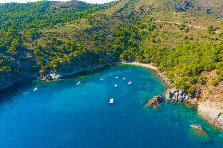 Picture 11 for Activity Roses: Costa Brava Catamaran Trip with Underwater Views
