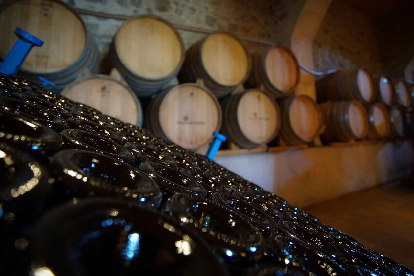 Picture 6 for Activity From Barcelona: Sailing and E-bike Winery Tour with Tastings