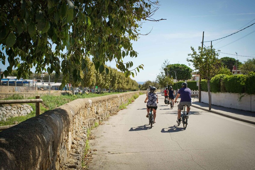 Picture 2 for Activity From Barcelona: Sailing and E-bike Winery Tour with Tastings