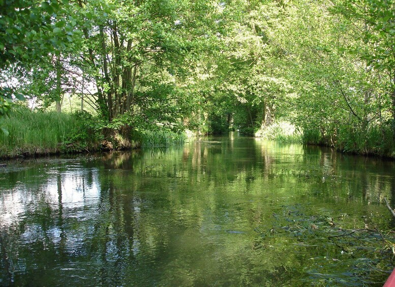 Picture 5 for Activity Leipzig: Riverside Forest Tour on the Pleiße