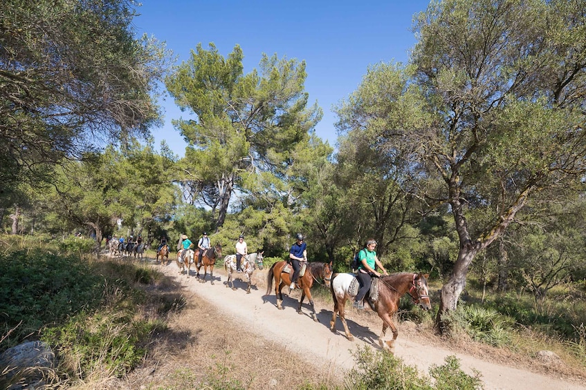 Picture 3 for Activity Mallorca: Horseback Riding Excursion and Wine Tasting