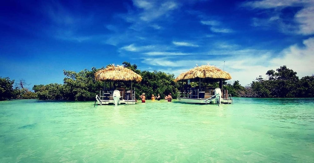 Key West: 4-Hour Private Sandbar Cruise on a Tiki Bar Boat