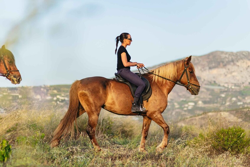 Picture 10 for Activity Heraklion: Horse Ride in the Cretan Mountains