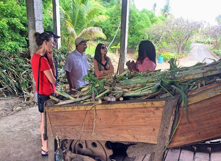 Picture 5 for Activity Grenada: Chocolate Tour & Lunch at Petite Anse