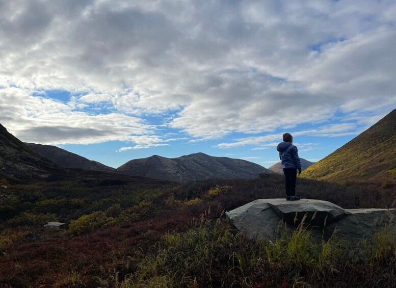 Picture 2 for Activity From Anchorage: Chugach State Park Walk with Naturalist