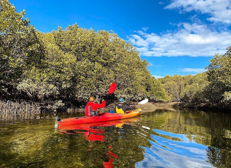 Picture 2 for Activity Adelaide: Dolphin Sanctuary 1 or 2-Person Kayak Rental
