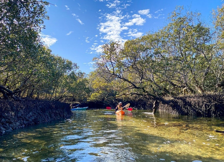 Picture 3 for Activity Adelaide: Dolphin Sanctuary 1 or 2-Person Kayak Rental