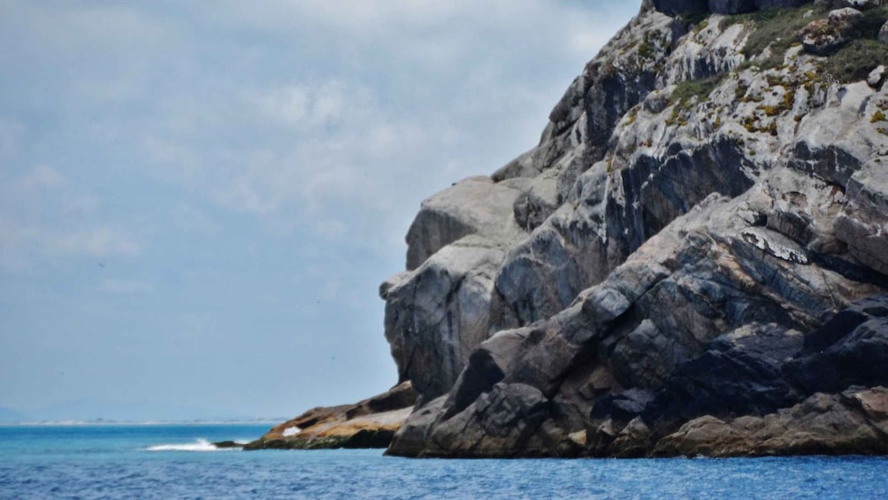 Picture 4 for Activity From Rio de Janeiro: Arraial do Cabo Tour with Lunch