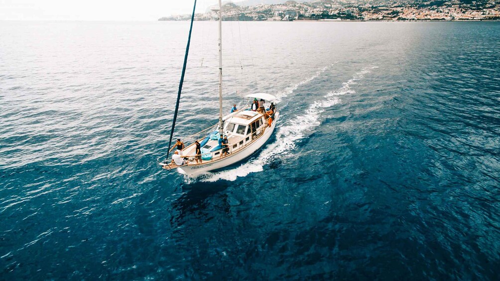 Picture 3 for Activity Funchal: Dolphin and Whale Watching Sunset Sailing Tour