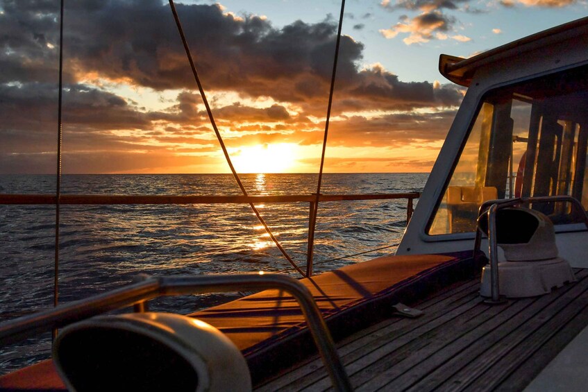 Picture 5 for Activity Funchal: Dolphin and Whale Watching Sunset Sailing Tour