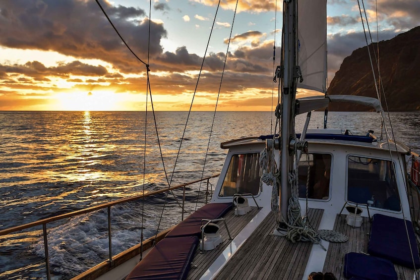 Picture 6 for Activity Funchal: Dolphin and Whale Watching Sunset Sailing Tour