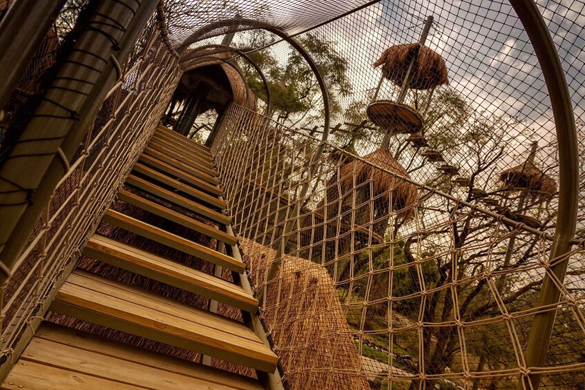 Picture 7 for Activity Guadalajara: Selva Magica Park with VIPPass