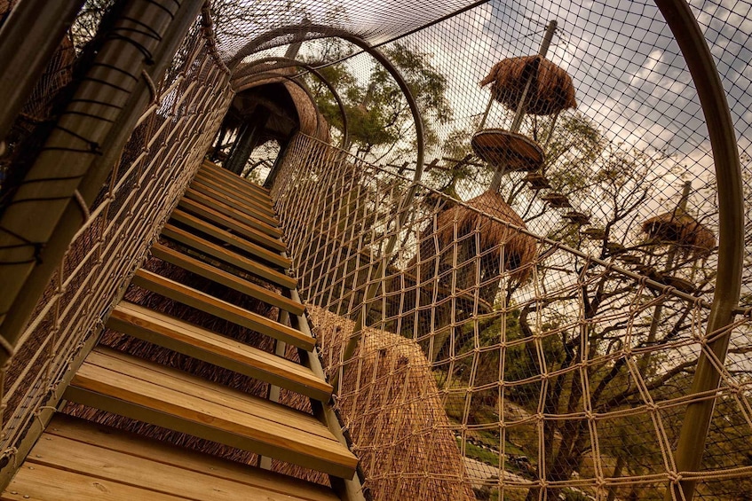 Picture 7 for Activity Guadalajara: Selva Magica Park with VIPPass