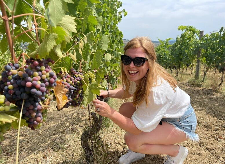 Picture 4 for Activity From San Gimignano: Half-Day Chianti Wine tour