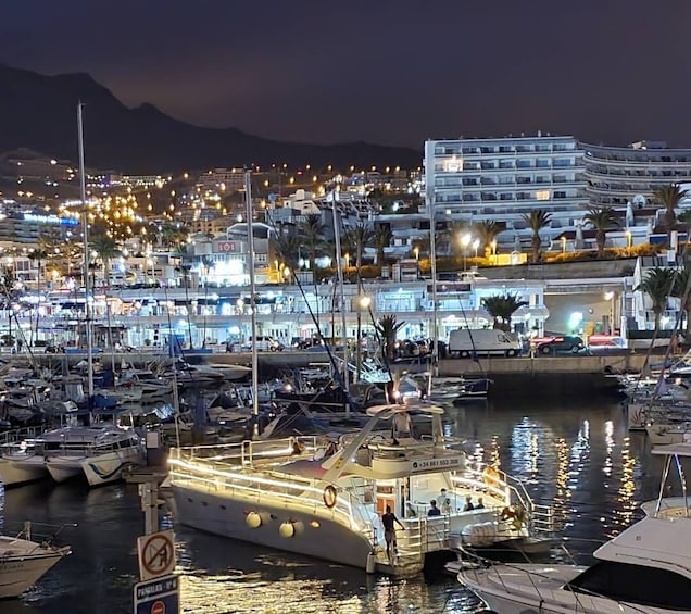 Picture 1 for Activity Tenerife: Sunset Catamaran Tour with Transfer, Buff & Drinks