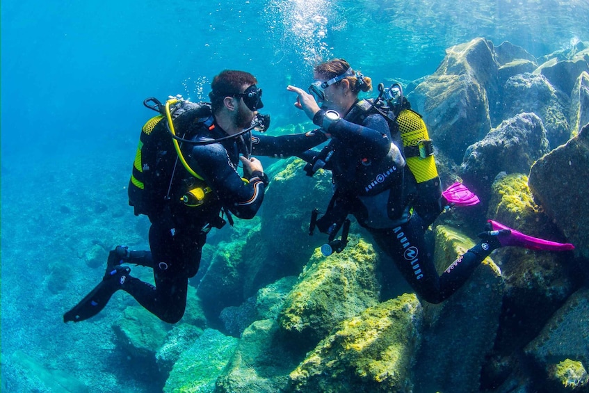 Picture 4 for Activity Santa Cruz de Tenerife: Beginner's Diving & Introduction