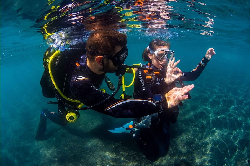 Santa Cruz de Tenerife: Beginner's Diving & Introduction