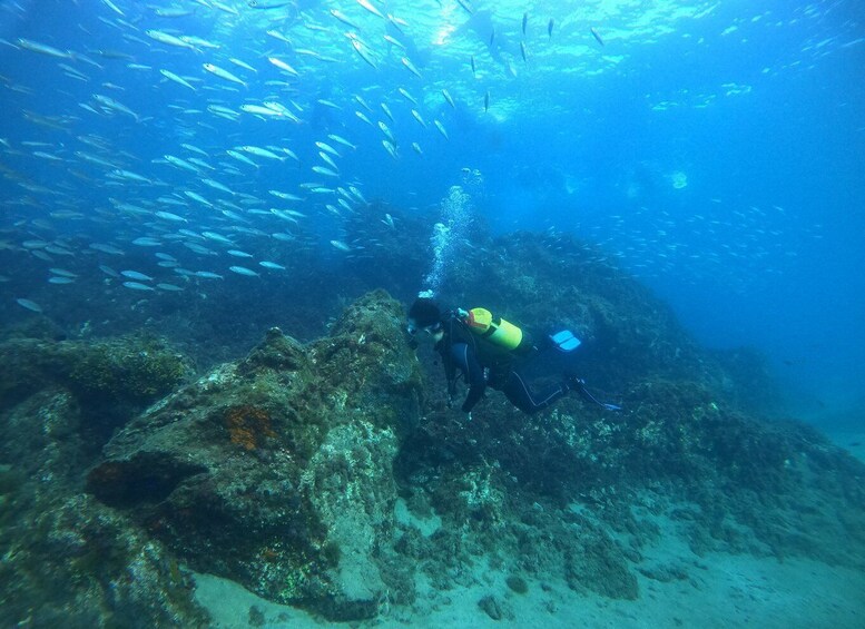 Picture 5 for Activity Lanzarote: Scuba Diving for Beginners - 1 Dive