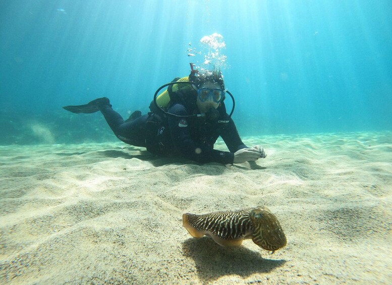 Picture 2 for Activity Lanzarote: Scuba Diving for Beginners - 1 Dive