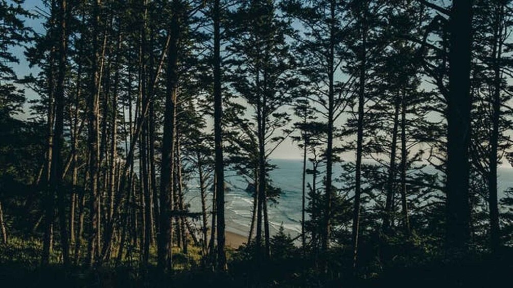 Picture 3 for Activity From Portland: Oregon Coast Tour