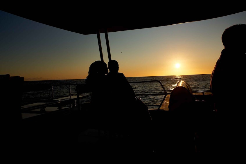 Picture 2 for Activity Cape Town: 1.5-Hour Luxury Sunset Cruise with Prosecco