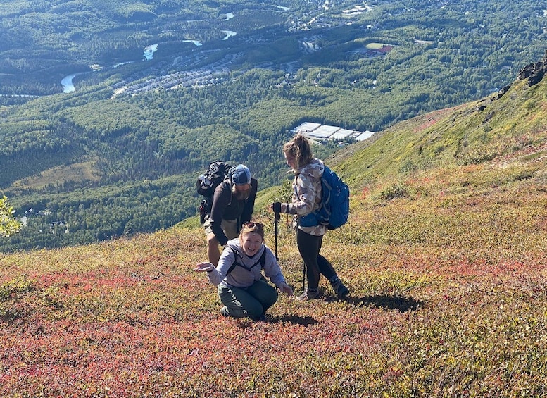 From Anchorage: Chugach State Park Guided Alpine Trek