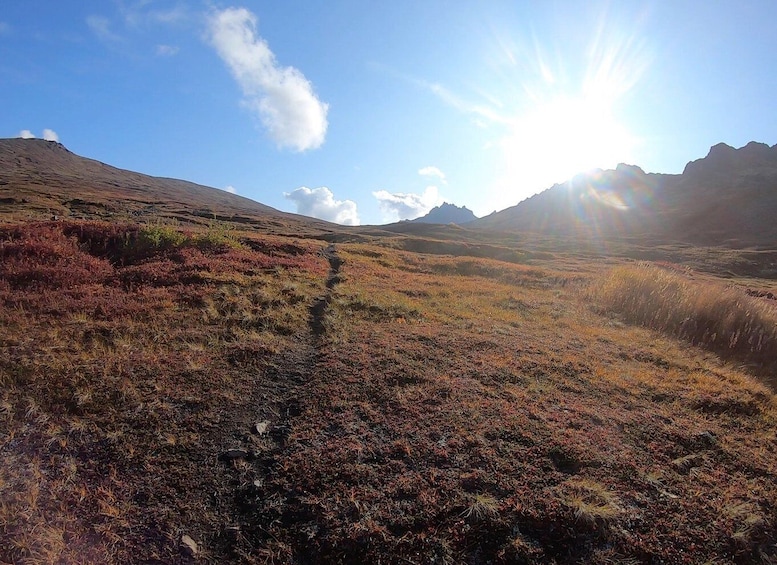 Picture 7 for Activity From Anchorage: Chugach State Park Guided Alpine Trek