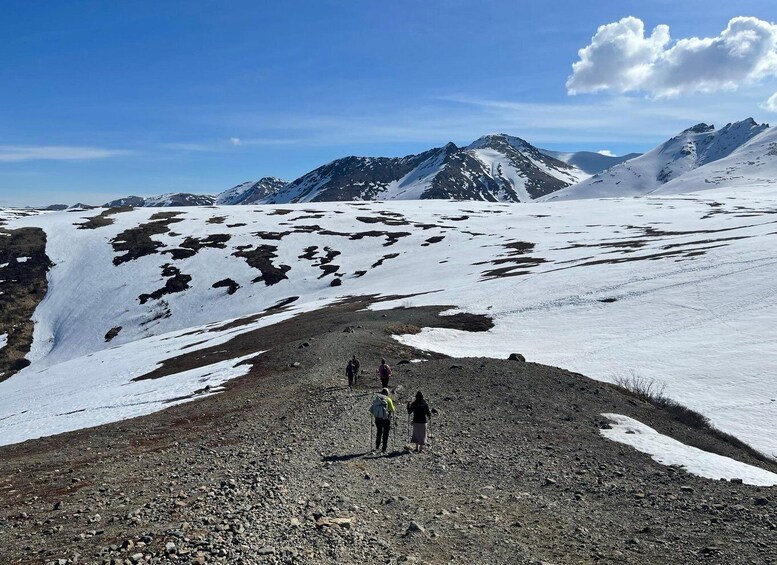 Picture 3 for Activity From Anchorage: Chugach State Park Guided Alpine Trek