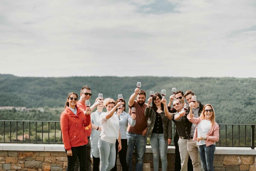 Picture 2 for Activity From Ljubjana: Slovenian Wine Tour