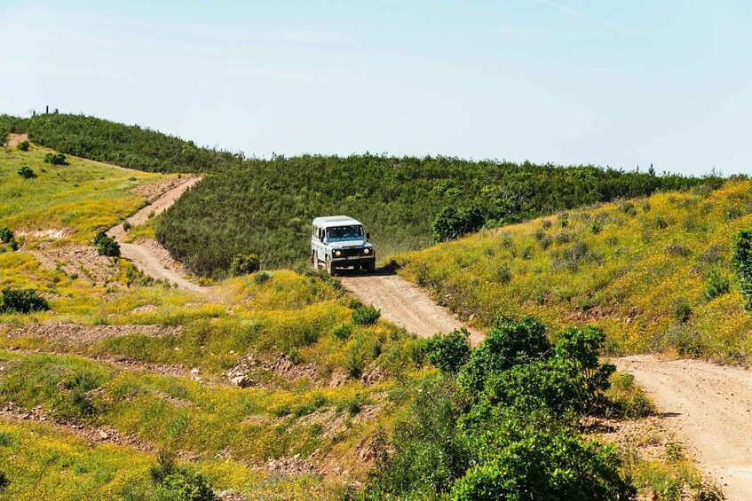 Picture 10 for Activity Algarve: Jeep Safari with Distillery Visit & Lunch