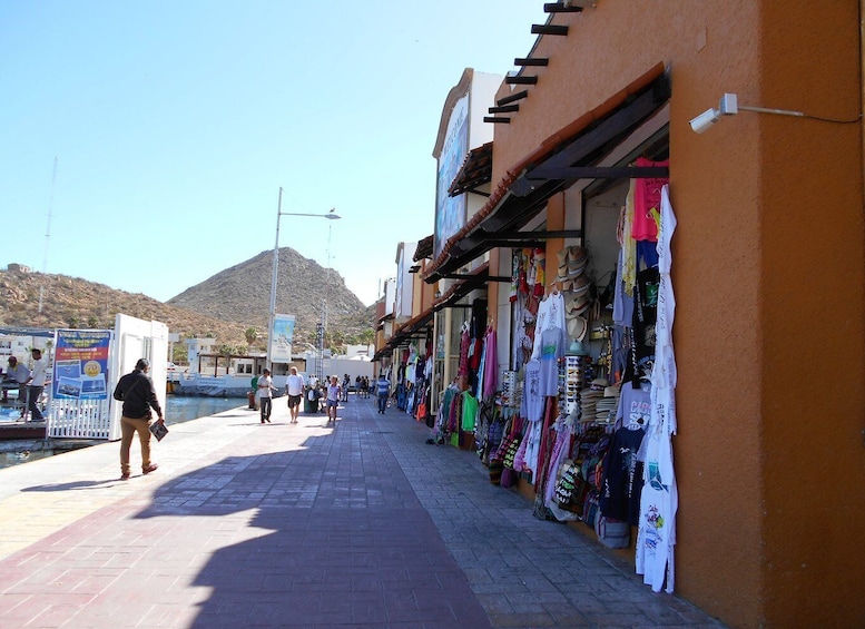 Picture 8 for Activity Cabo San Lucas: City Tour and Beach Day