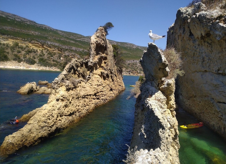 Picture 4 for Activity Lisbon: Arrábida All-Inclusive Kayak Adventure Tour