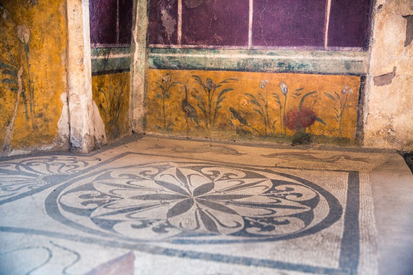Skip-the-line Pompeii Guided Tour