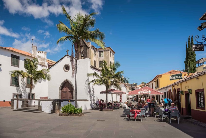 Picture 4 for Activity Funchal: Toboggan and Old Town Experience with Tukway