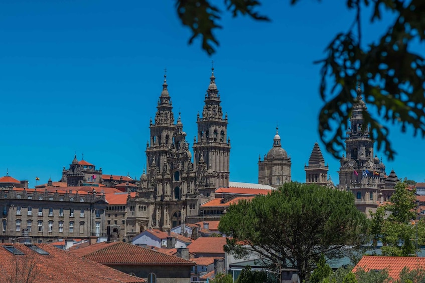 Santiago de Compostela Full-Day Tour From Porto