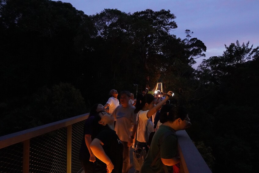 Penang Habitat