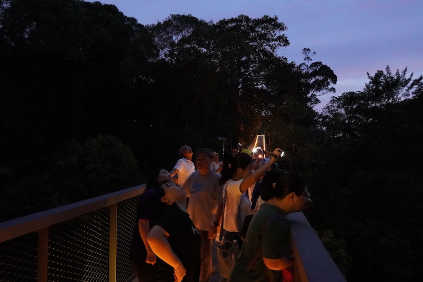 Penang Habitat