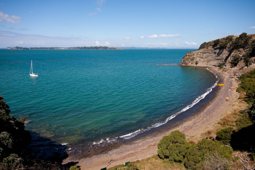 Picture 2 for Activity Auckland: Half-Day Sea Kayak Tour to Motukorea Island