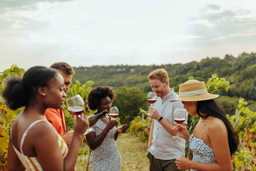 Picture 4 for Activity Charleston: Wadmalaw Island Wine Tasting and Tea Garden Trip
