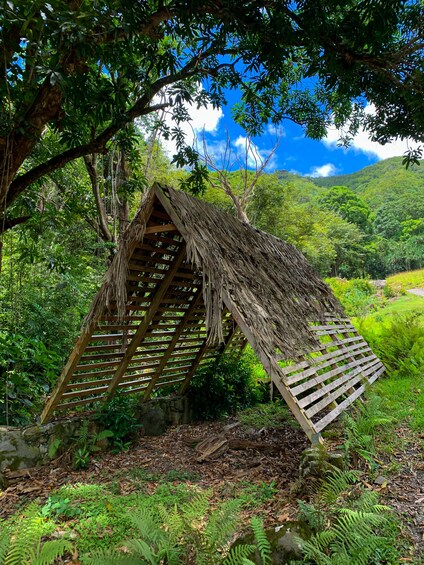 Best of Kualoa Experience Package