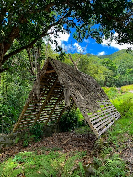 Best of Kualoa Experience Package