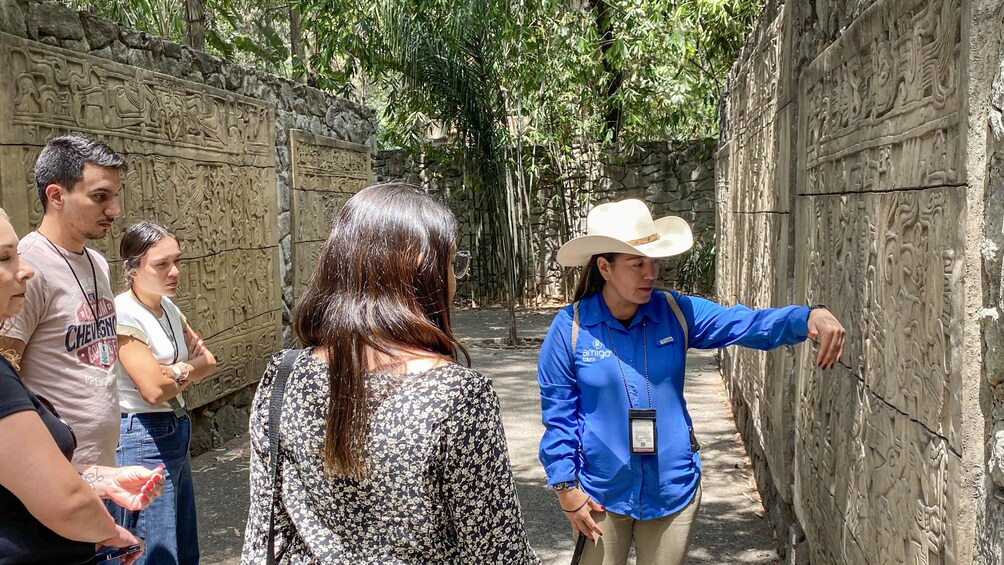 Anthropology Museum Guided Tour