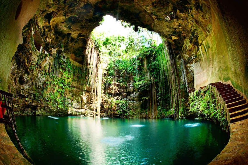 Cuzama Cenotes Day Tour with Lunch