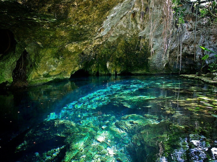 Cuzama Cenotes Day Tour with Lunch