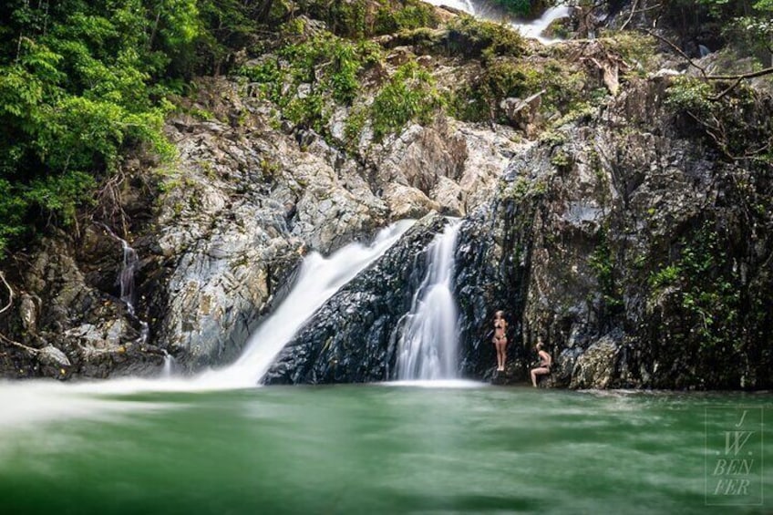 Daintree Waterfall Walk